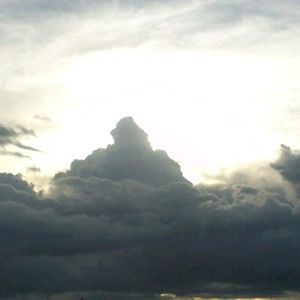 Meet your Posher, Tapiwanashe